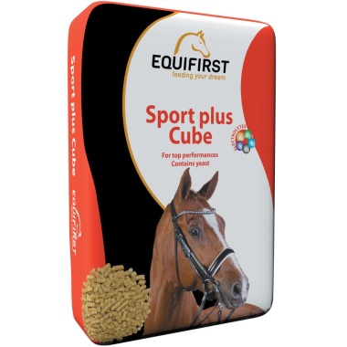 Sport Plus Cube.jpg