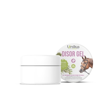 Disor Gel.jpg