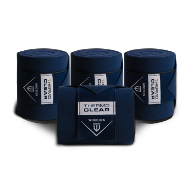 thermocleartallipindedsinised.png