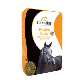 Gastro Cube 20kg