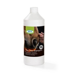 Rohelise Tee šampoon (Tea Tree Shampoo) 1000 ml