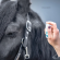 bitopEQUI® EYE Spray (3).png