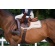 Winderen jumping stud girth  Brown4.jpg
